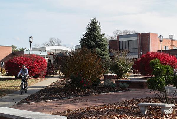 campus tour tree